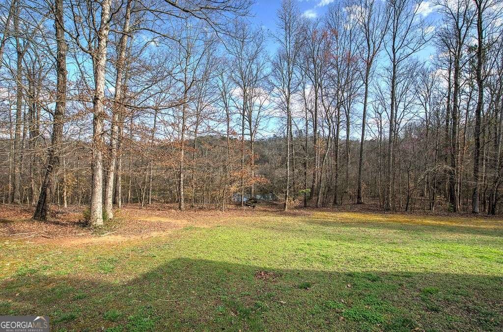 76 Shotgun Road Cartersville - Photo 59