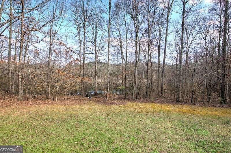 76 Shotgun Road Cartersville - Photo 60