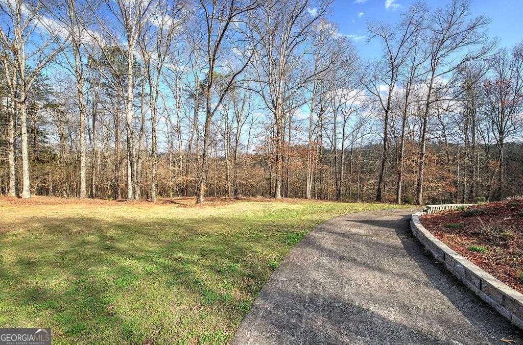 76 Shotgun Road Cartersville - Photo 61