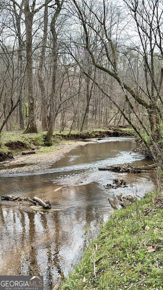 76 Shotgun Road Cartersville - Photo 70