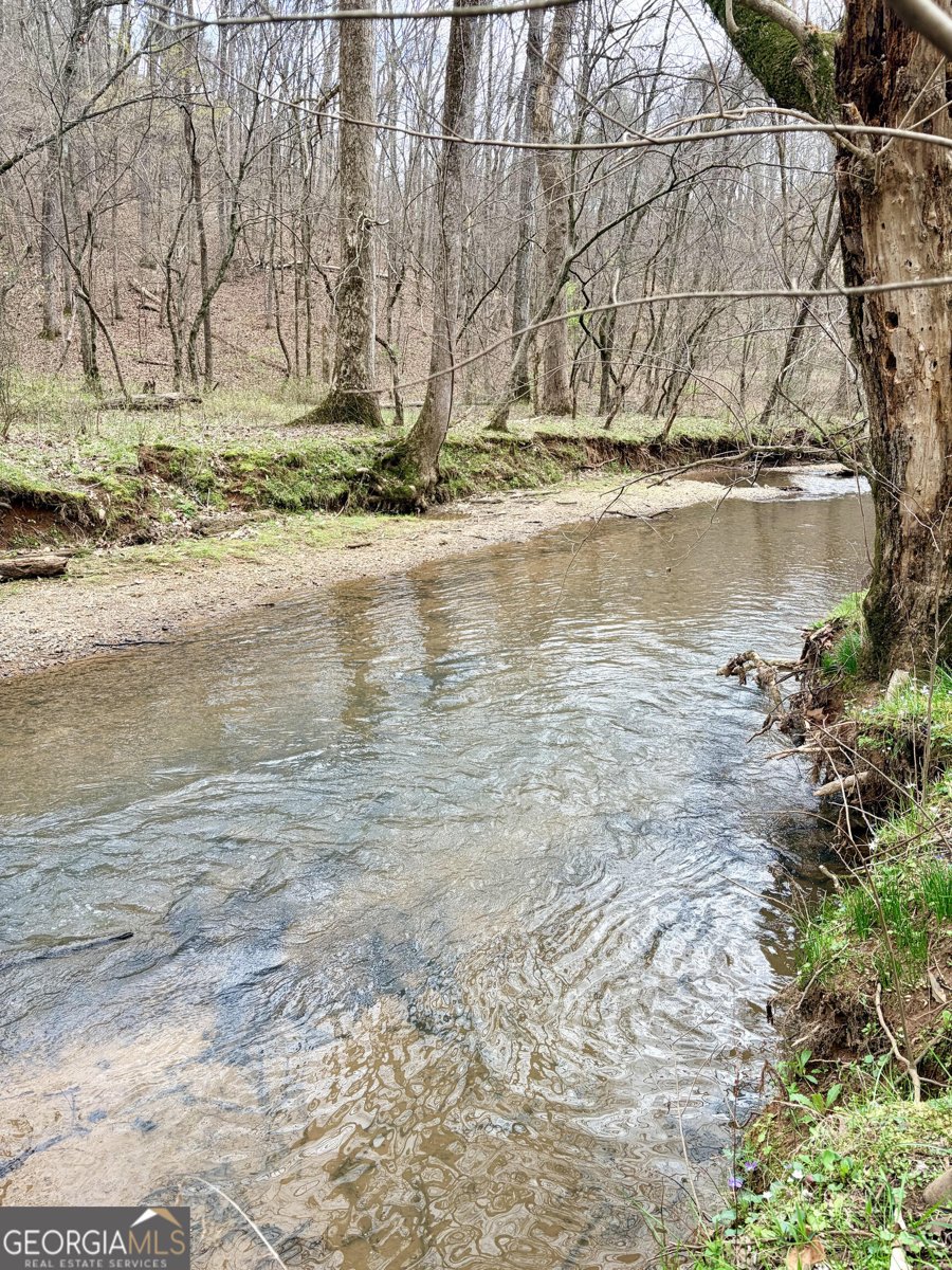 76 Shotgun Road Cartersville - Photo 71