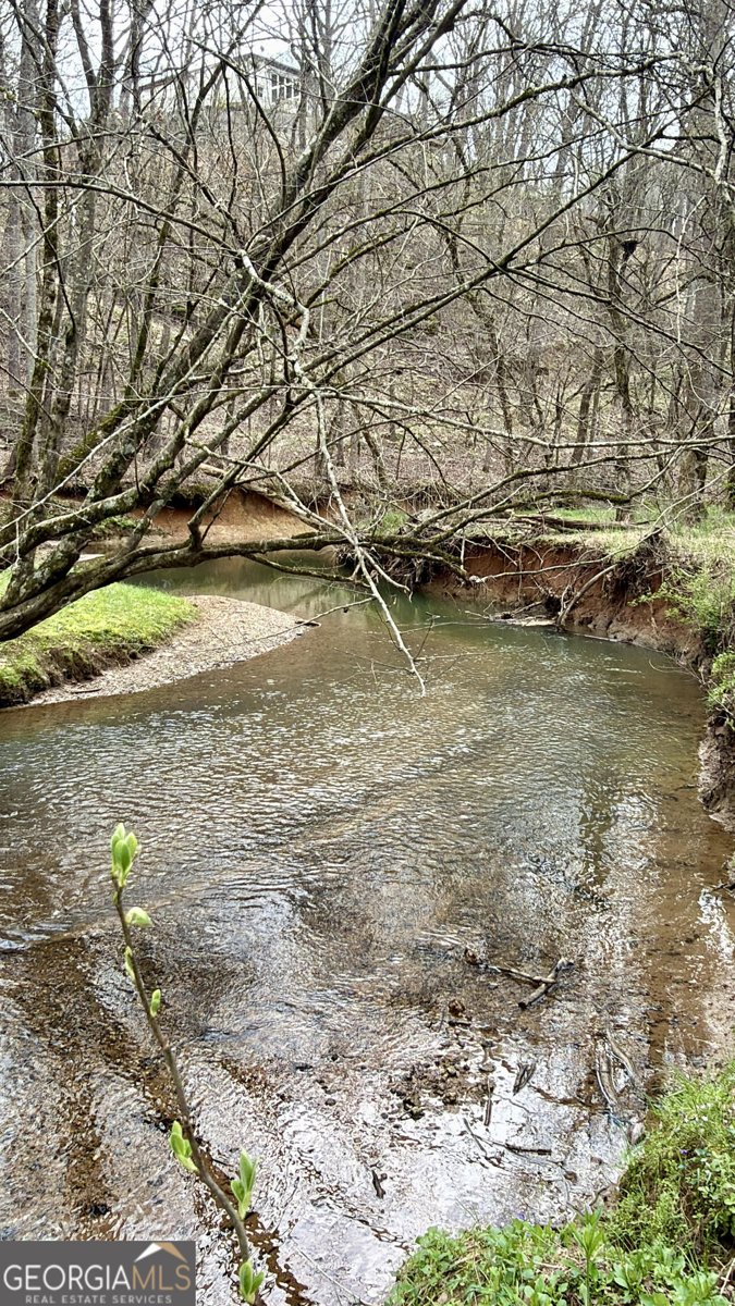 76 Shotgun Road Cartersville - Photo 72