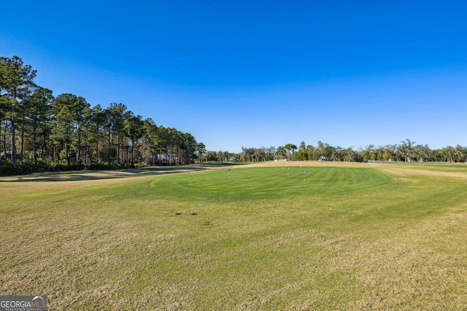 218 Blue Heron Trail Waverly - Photo 145