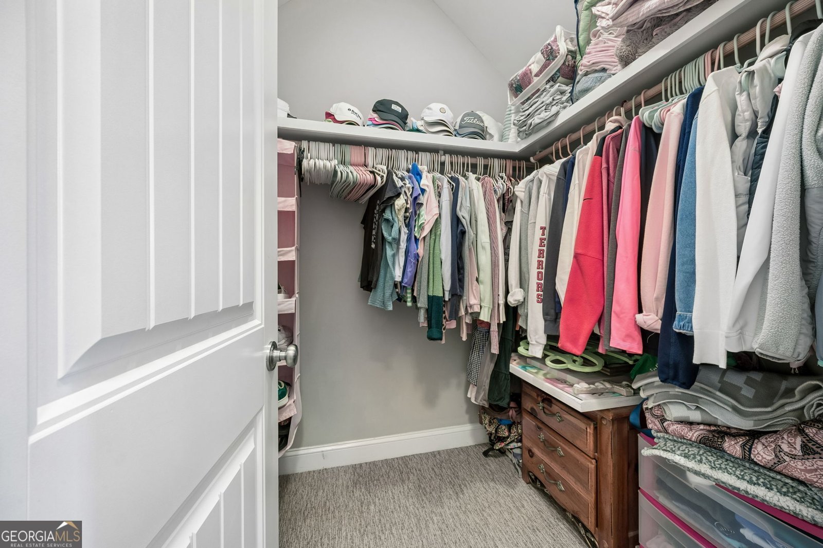 218 Blue Heron Trail Waverly - Photo 53