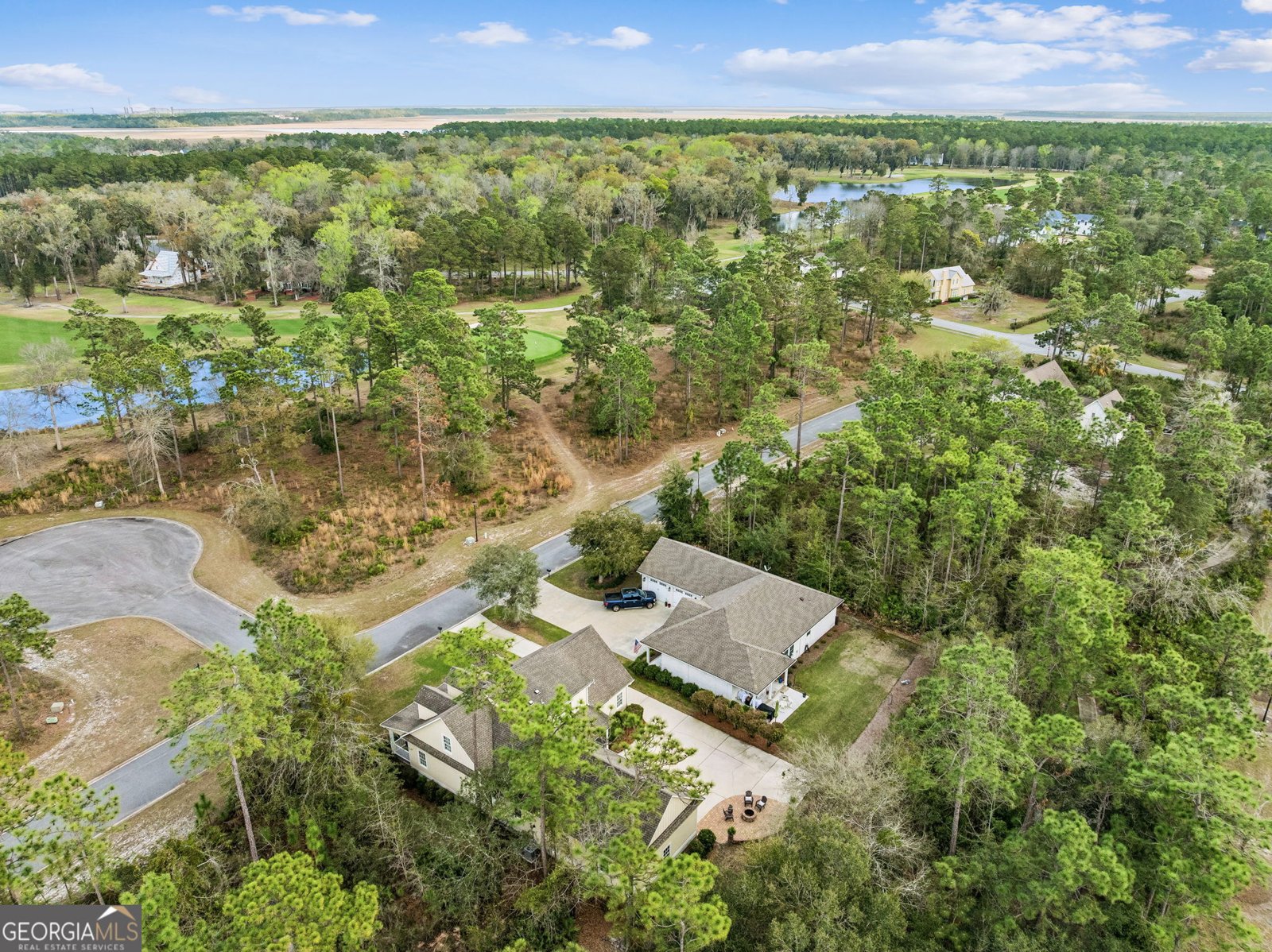 218 Blue Heron Trail Waverly - Photo 87