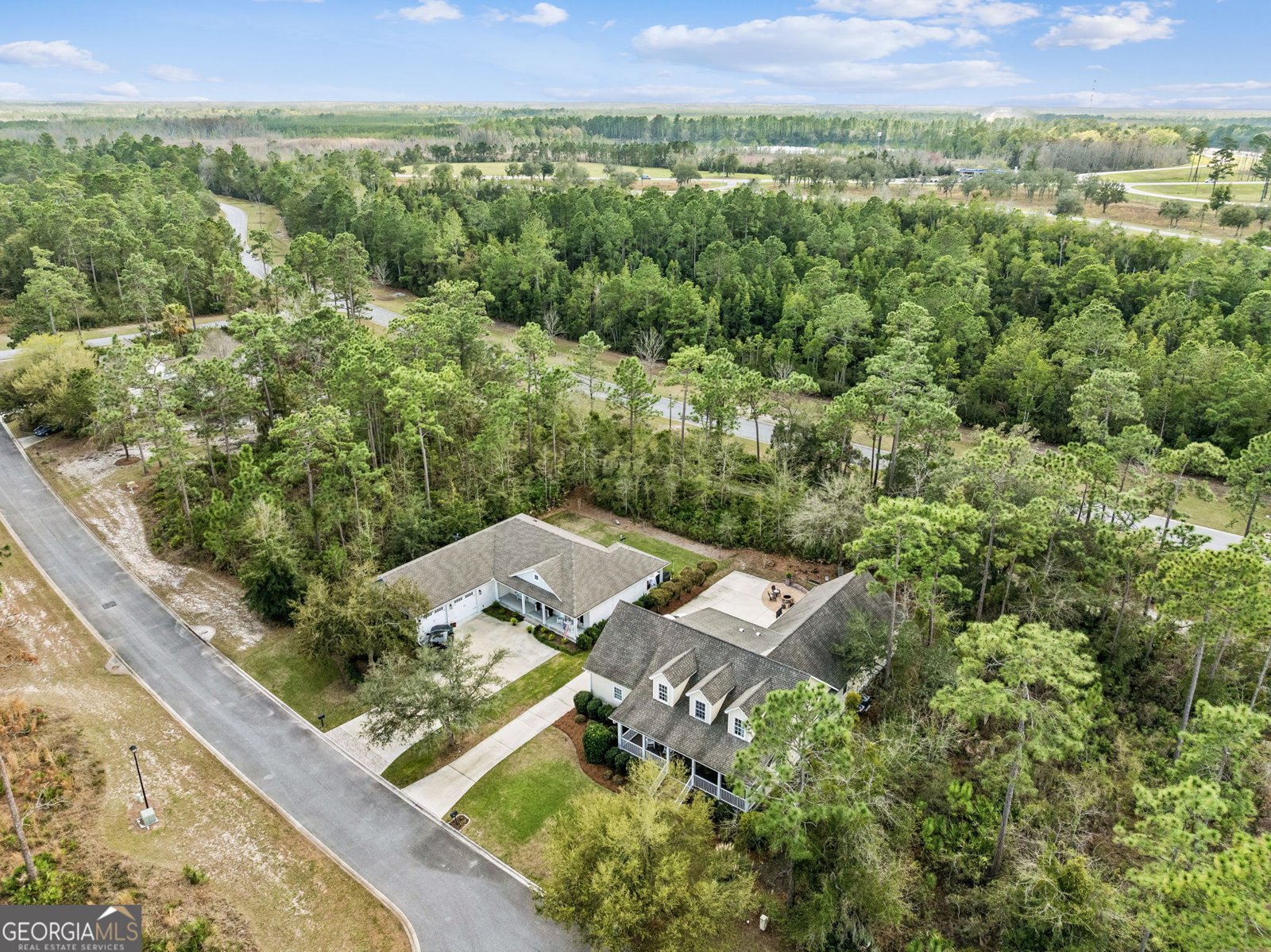 218 Blue Heron Trail Waverly - Photo 93