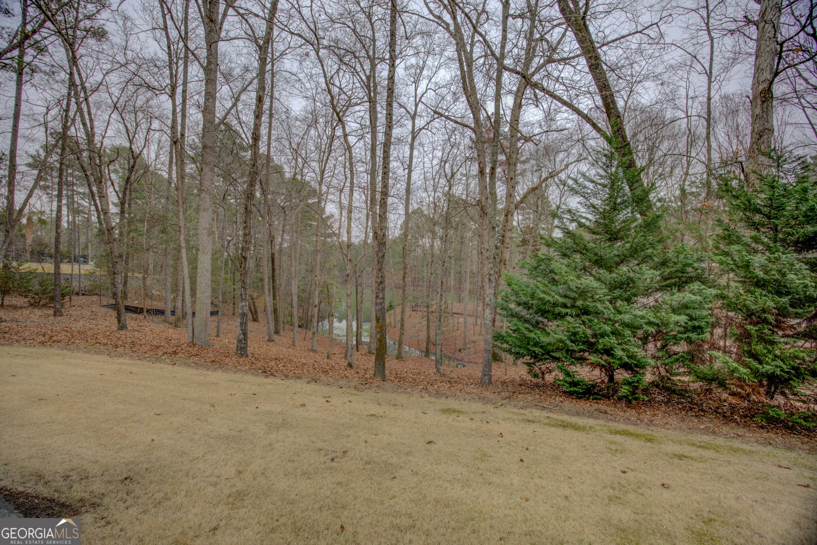 1030 Lake Haynes Drive Conyers - Photo 50