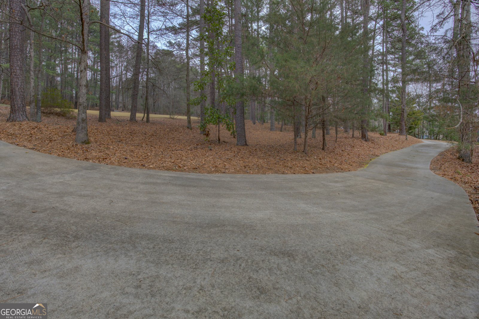 1030 Lake Haynes Drive Conyers - Photo 51