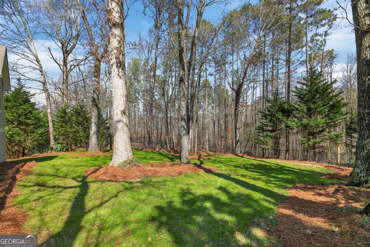 171 Highland Drive Carrollton - Photo 37