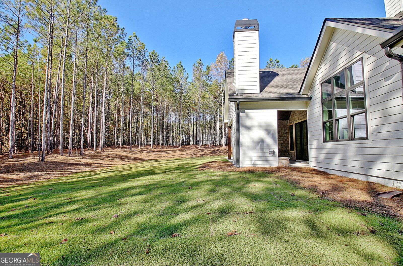 196 Bob Smith Road Sharpsburg - Photo 66