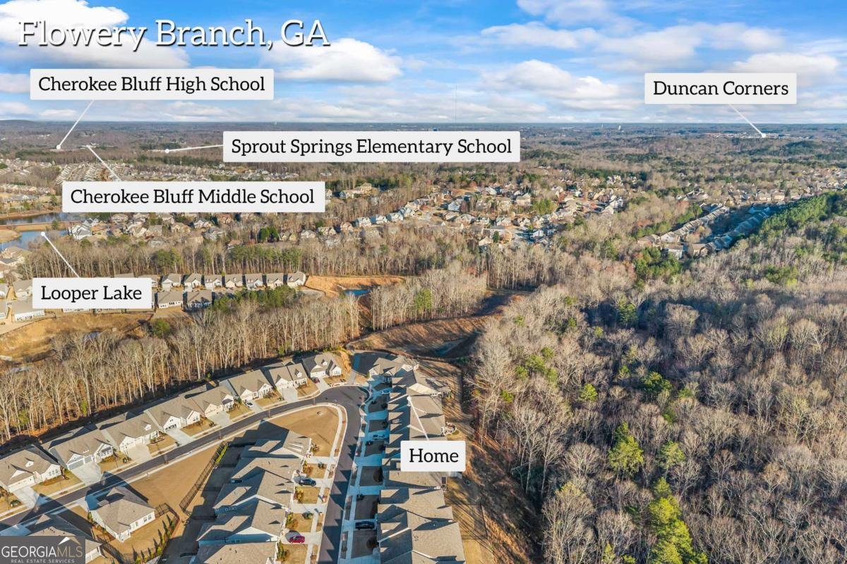 7076 Cottage Grove Drive Flowery Branch - Photo 39