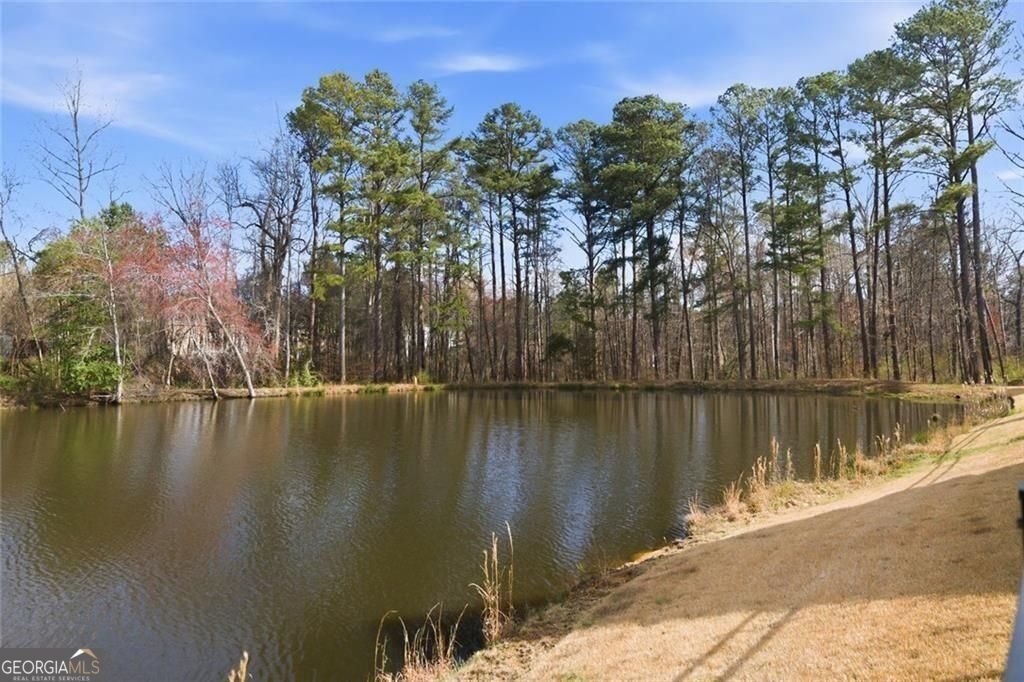 1107 Maybeck Way Peachtree City - Photo 45