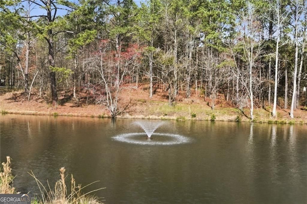 1107 Maybeck Way Peachtree City - Photo 47