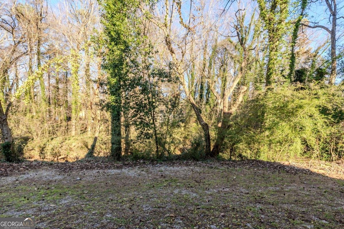 4412 Rustic Wood Drive Stone Mountain - Photo 39