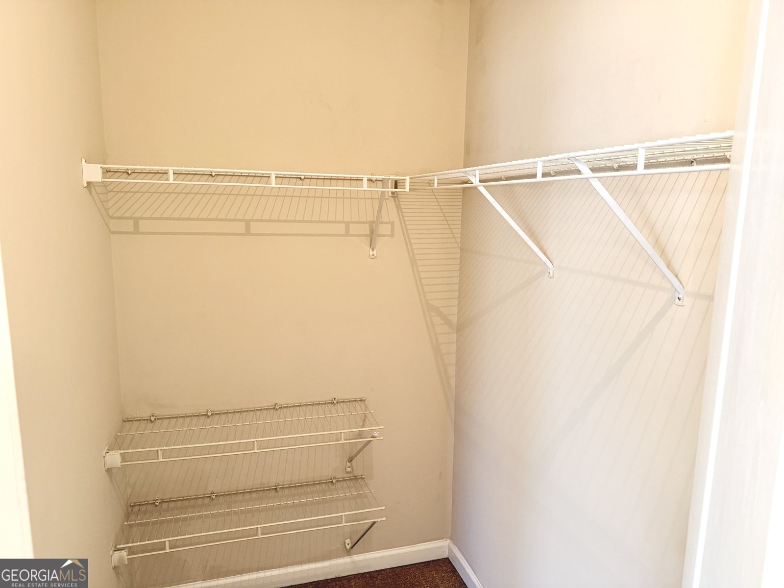 2304 Bigwood Trail South Fulton - Photo 19