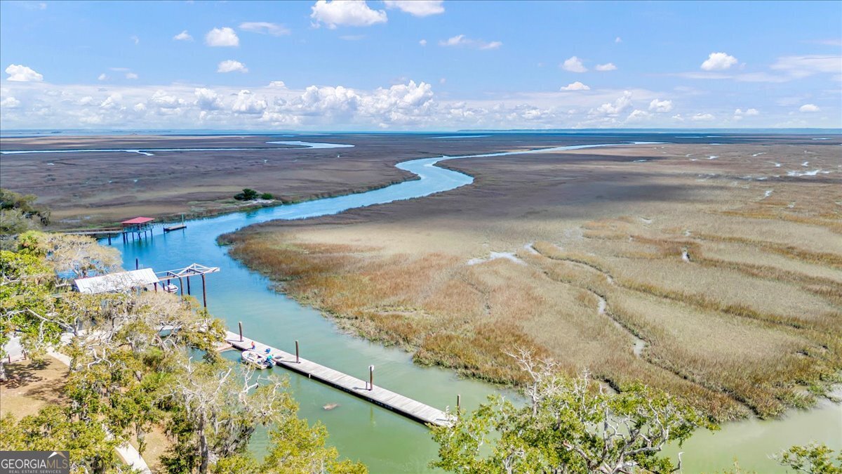 54 Salt Marsh Drive Midway - Photo 50