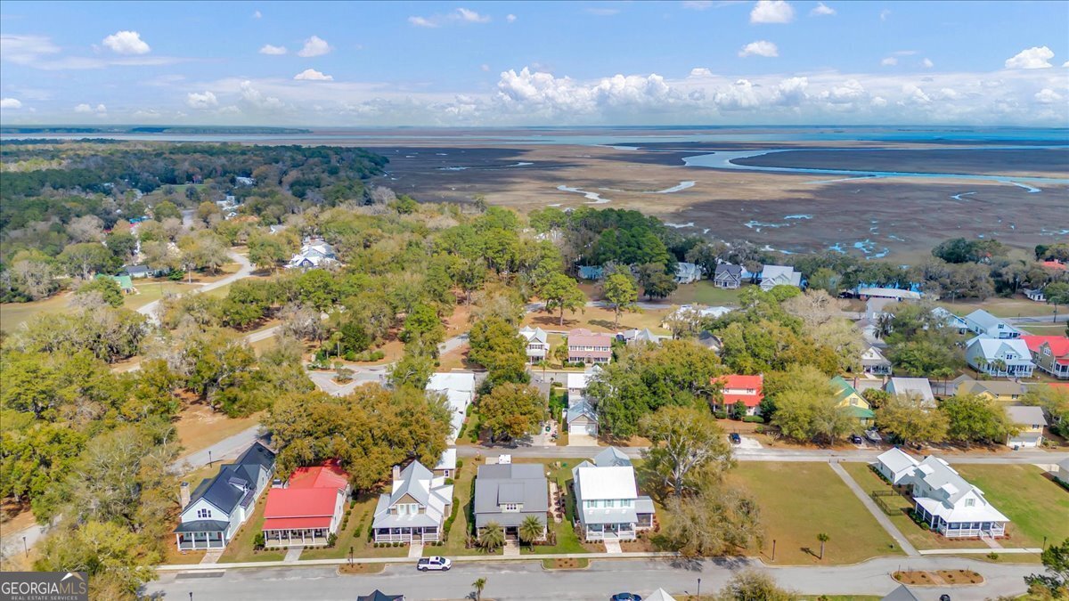 54 Salt Marsh Drive Midway - Photo 60