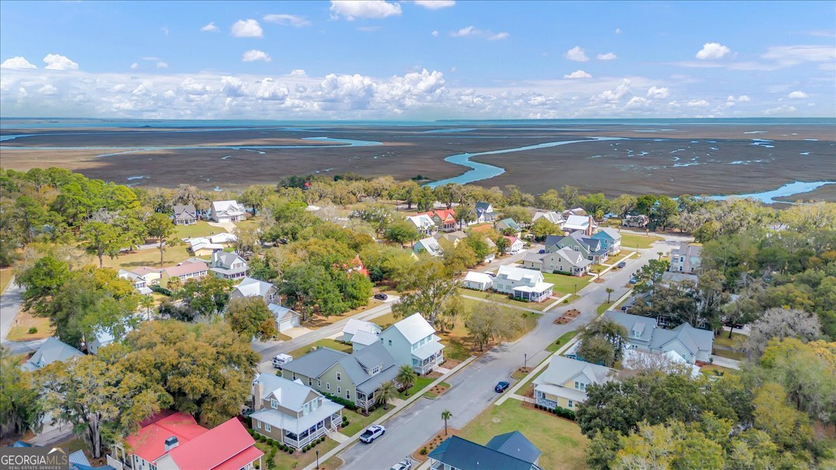 54 Salt Marsh Drive Midway - Photo 61