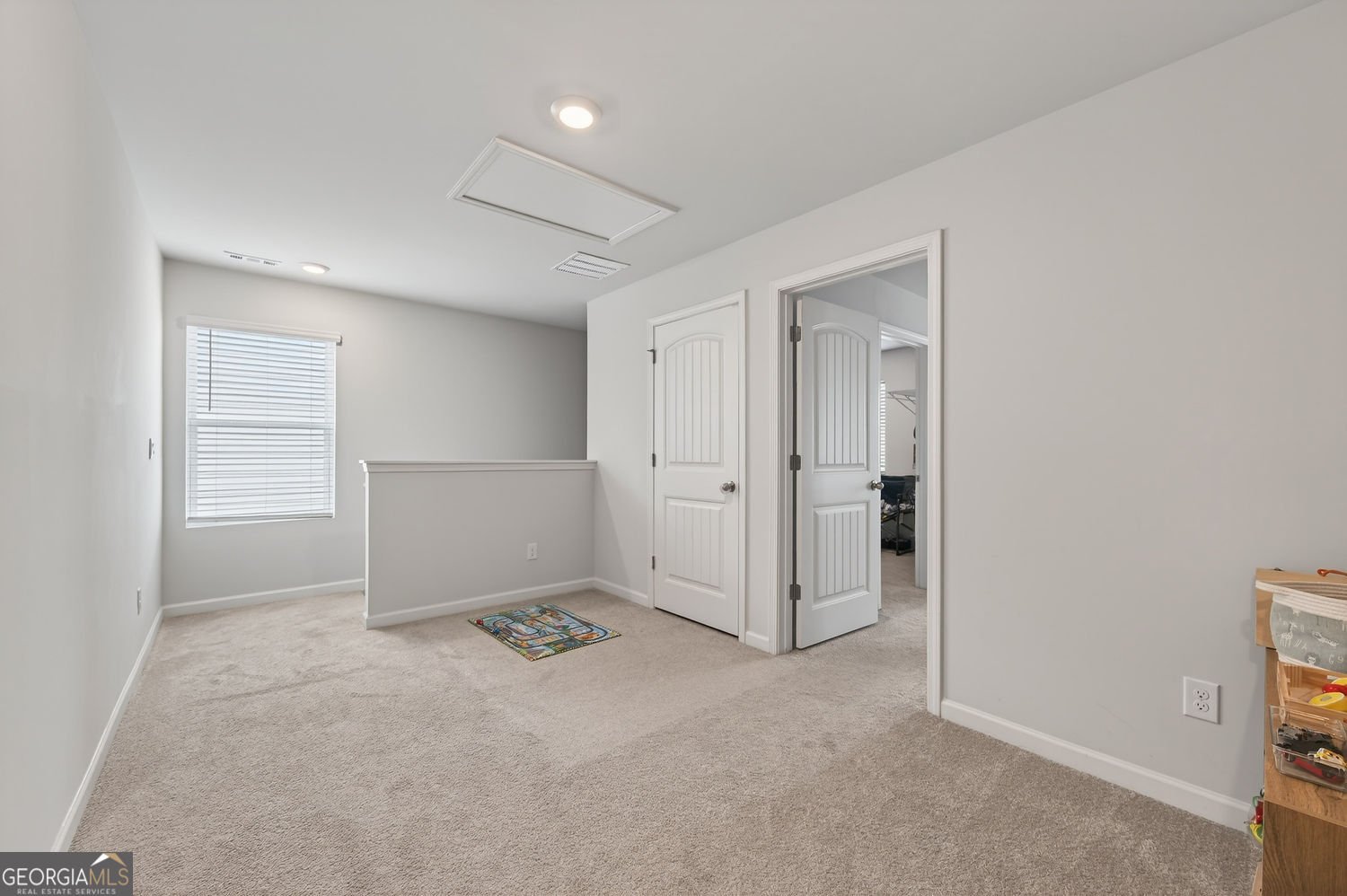 29 White Cedar Drive Dawsonville - Photo 18