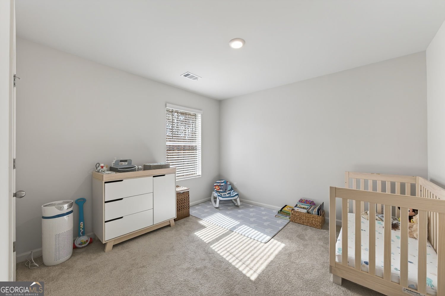 29 White Cedar Drive Dawsonville - Photo 31