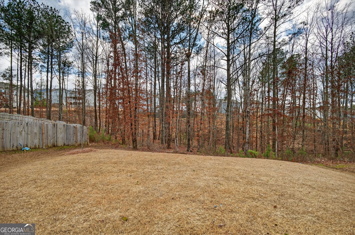 29 White Cedar Drive Dawsonville - Photo 37