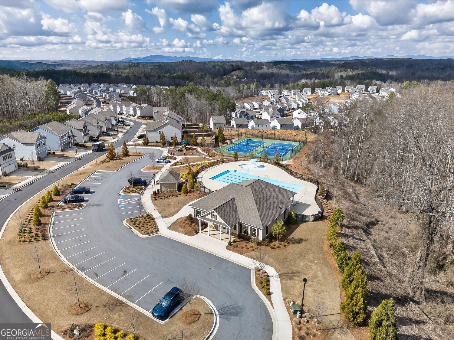 29 White Cedar Drive Dawsonville - Photo 44