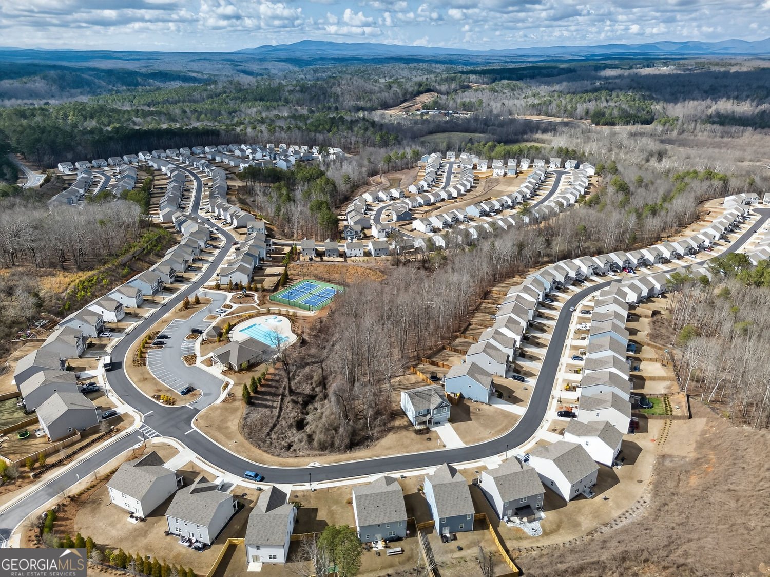 29 White Cedar Drive Dawsonville - Photo 45