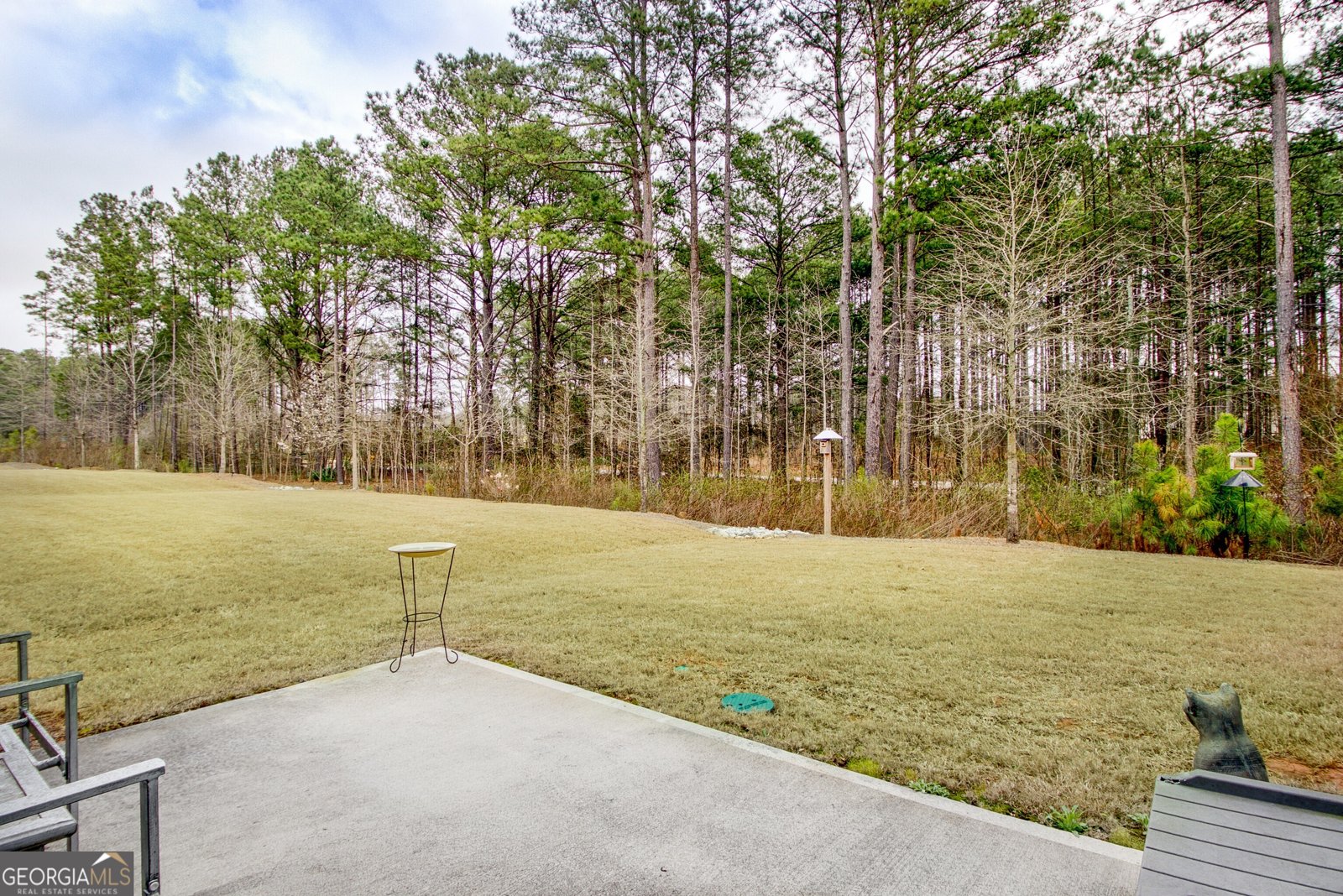 40 Timbercove Court Sharpsburg - Photo 23