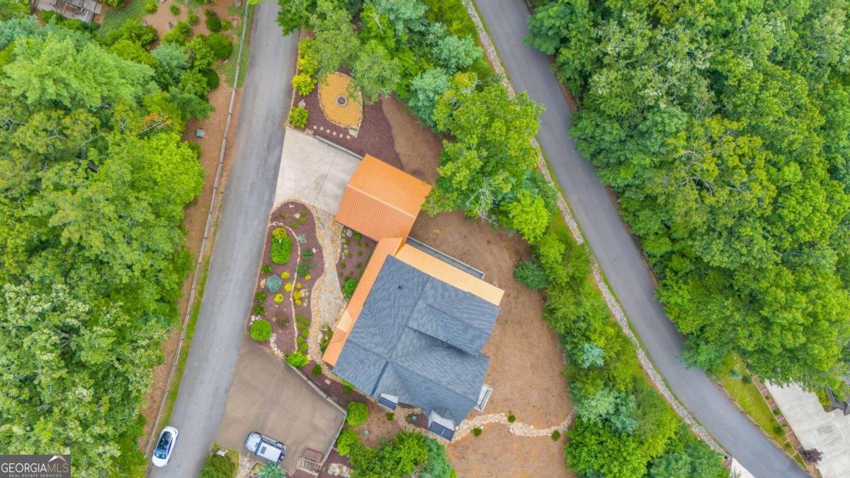 540 Overlook Drive Blue Ridge - Photo 64