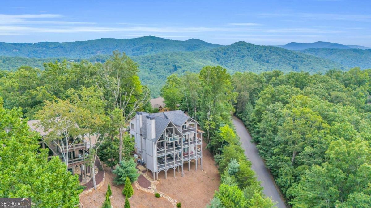 540 Overlook Drive Blue Ridge - Photo 76
