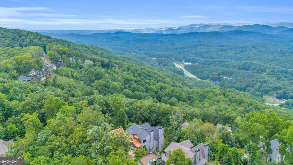 540 Overlook Drive Blue Ridge - Photo 78