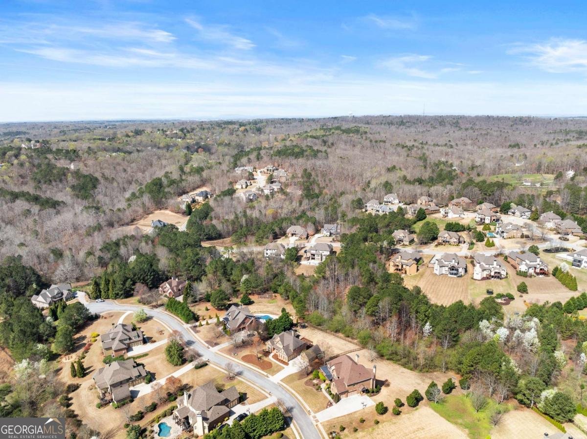 4610 Vista Ridge Lane Flowery Branch - Photo 64