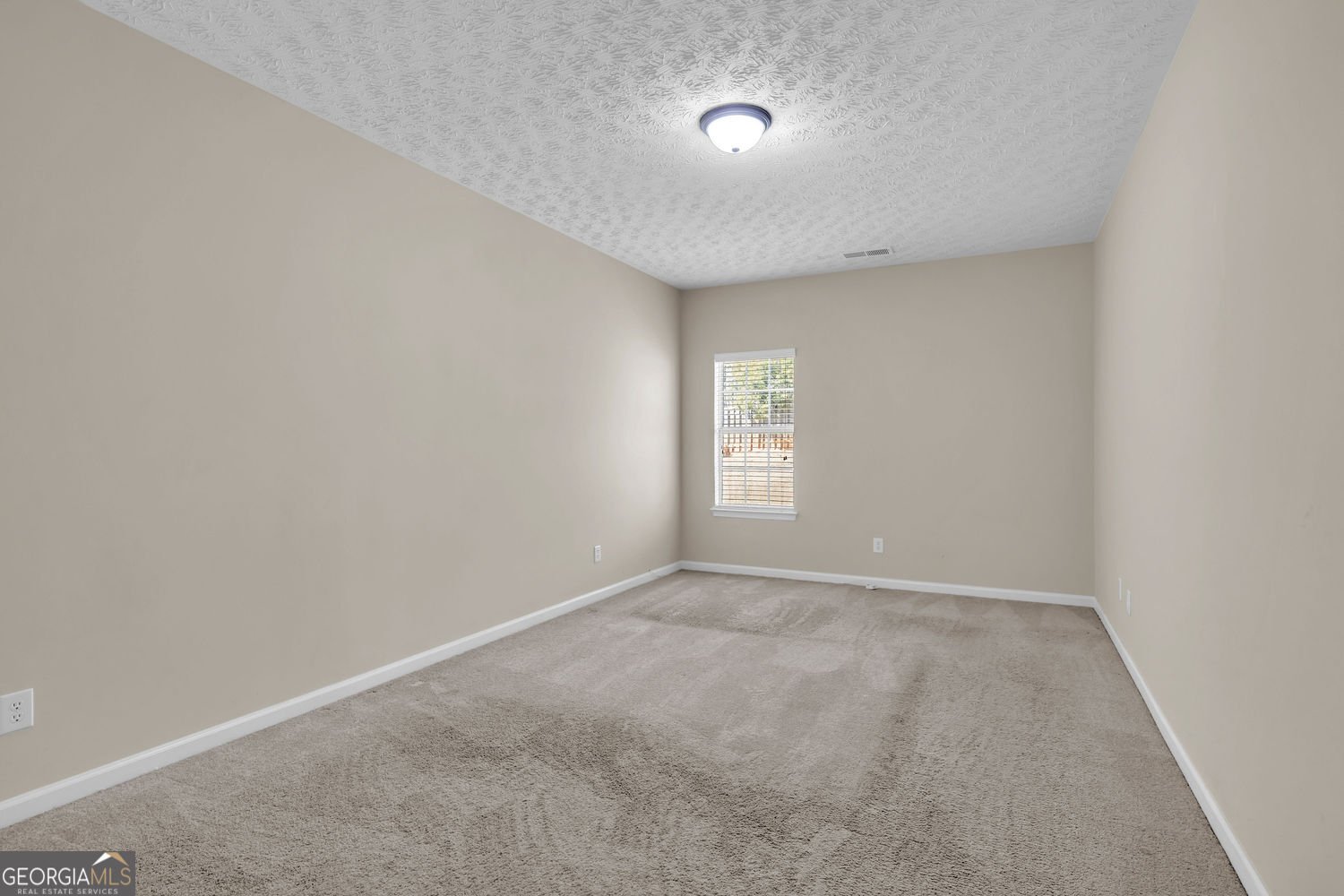 133 Molly Way McDonough - Photo 12