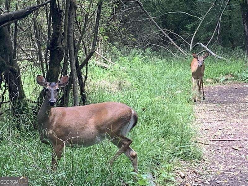 10330 Groomsbridge Road Johns Creek - Photo 83