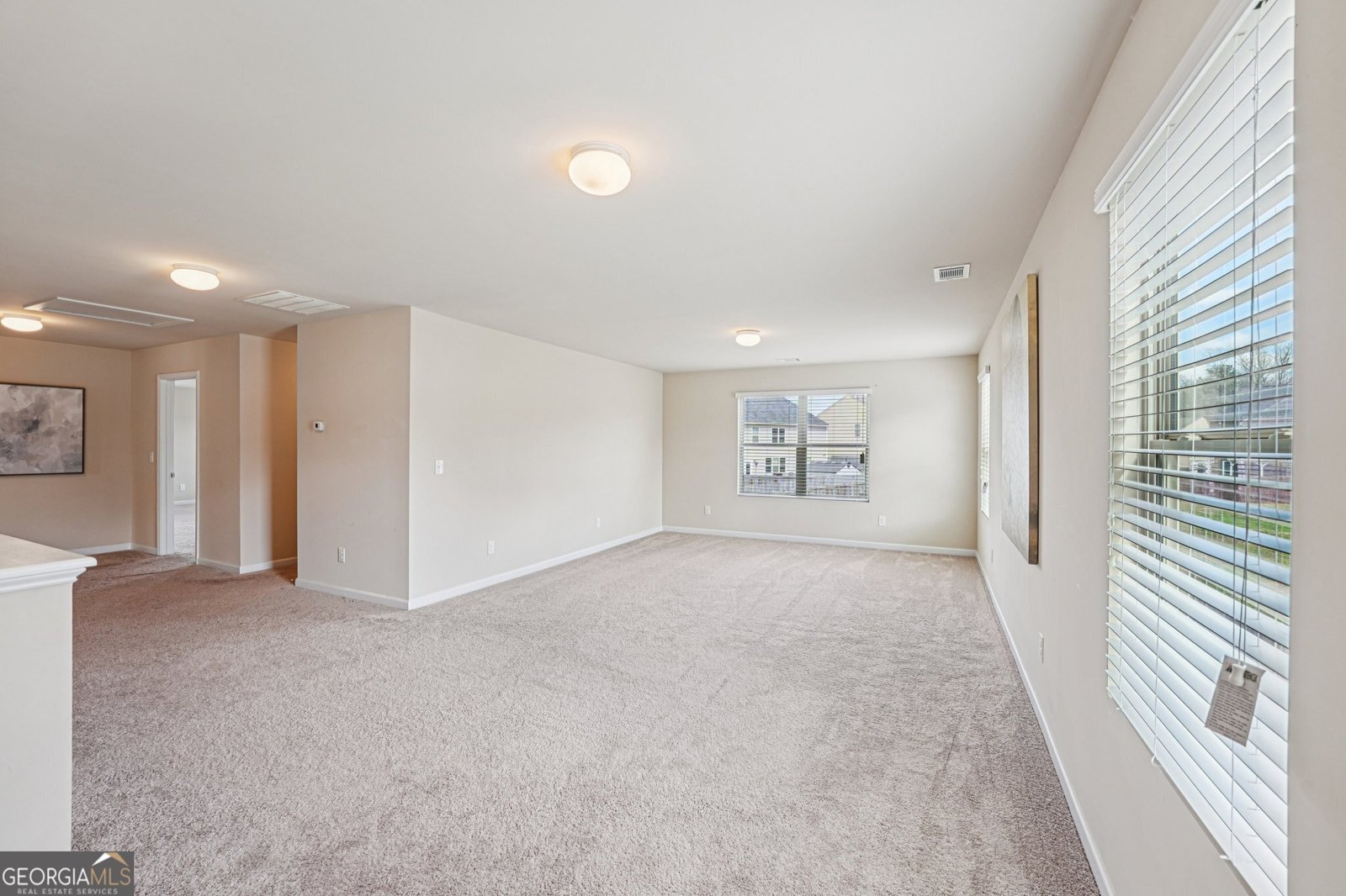 240 Shaker Hollow Drive McDonough - Photo 43