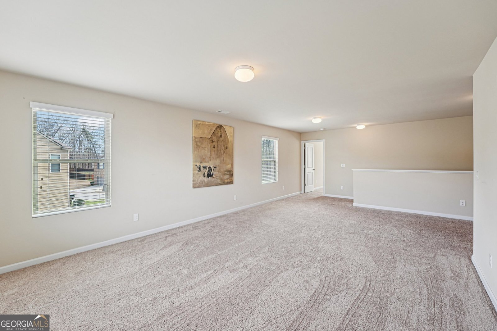 240 Shaker Hollow Drive McDonough - Photo 46