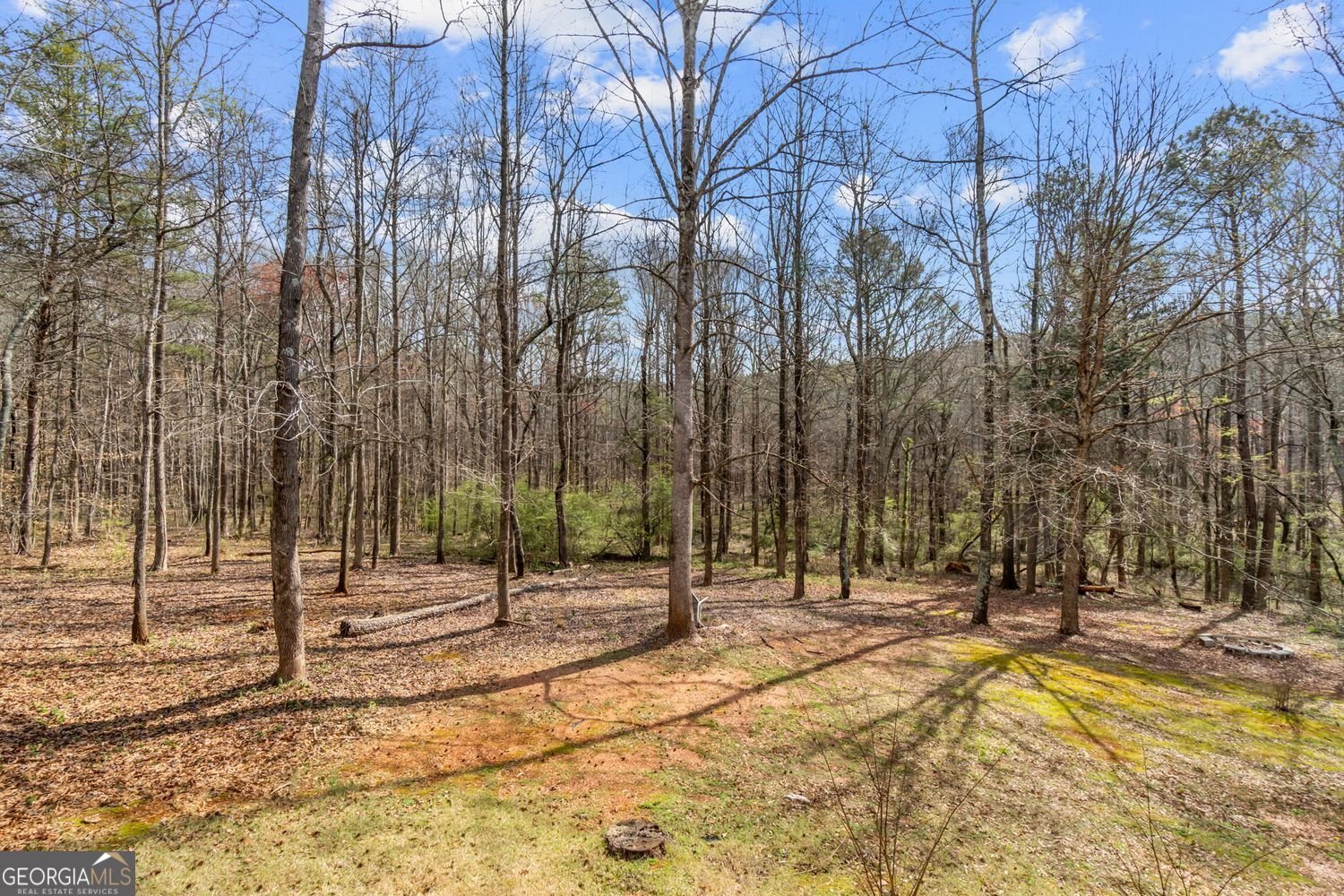 4984 Poplar Springs Circle Gainesville - Photo 38