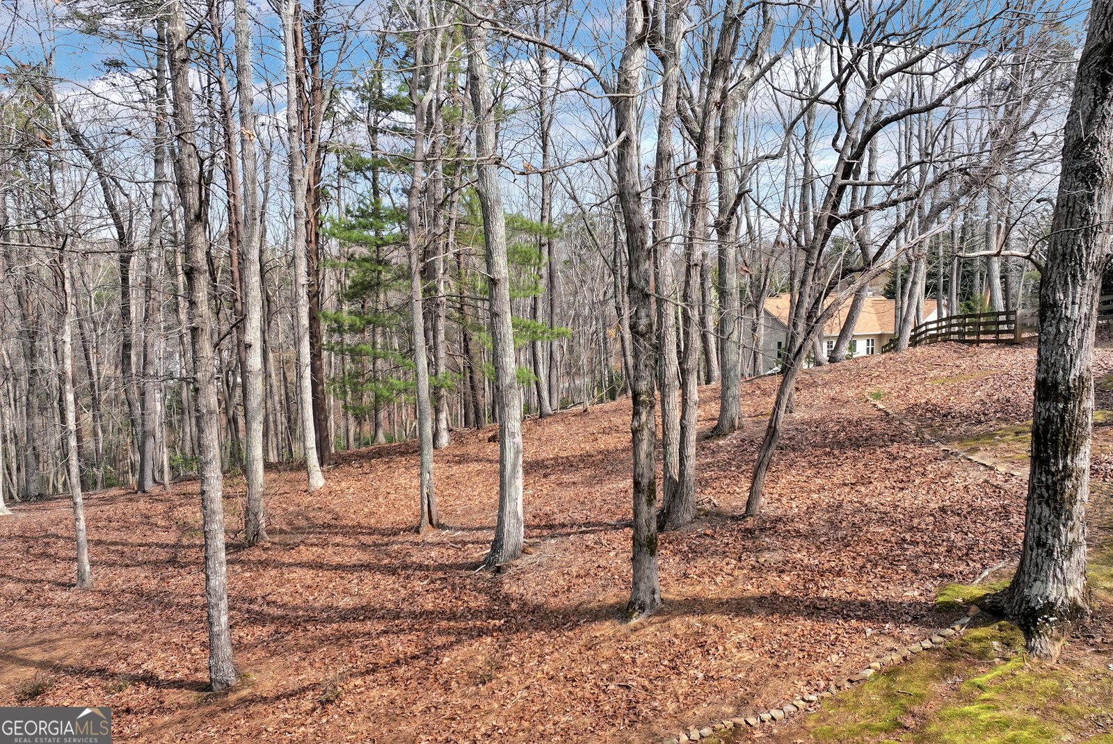 579 Willows Drive Cleveland - Photo 45