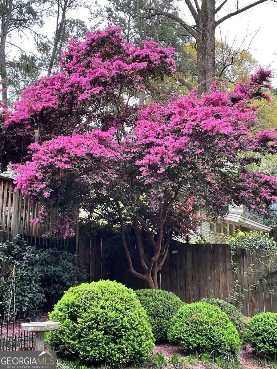 2116 Lenox Road Atlanta - Photo 41