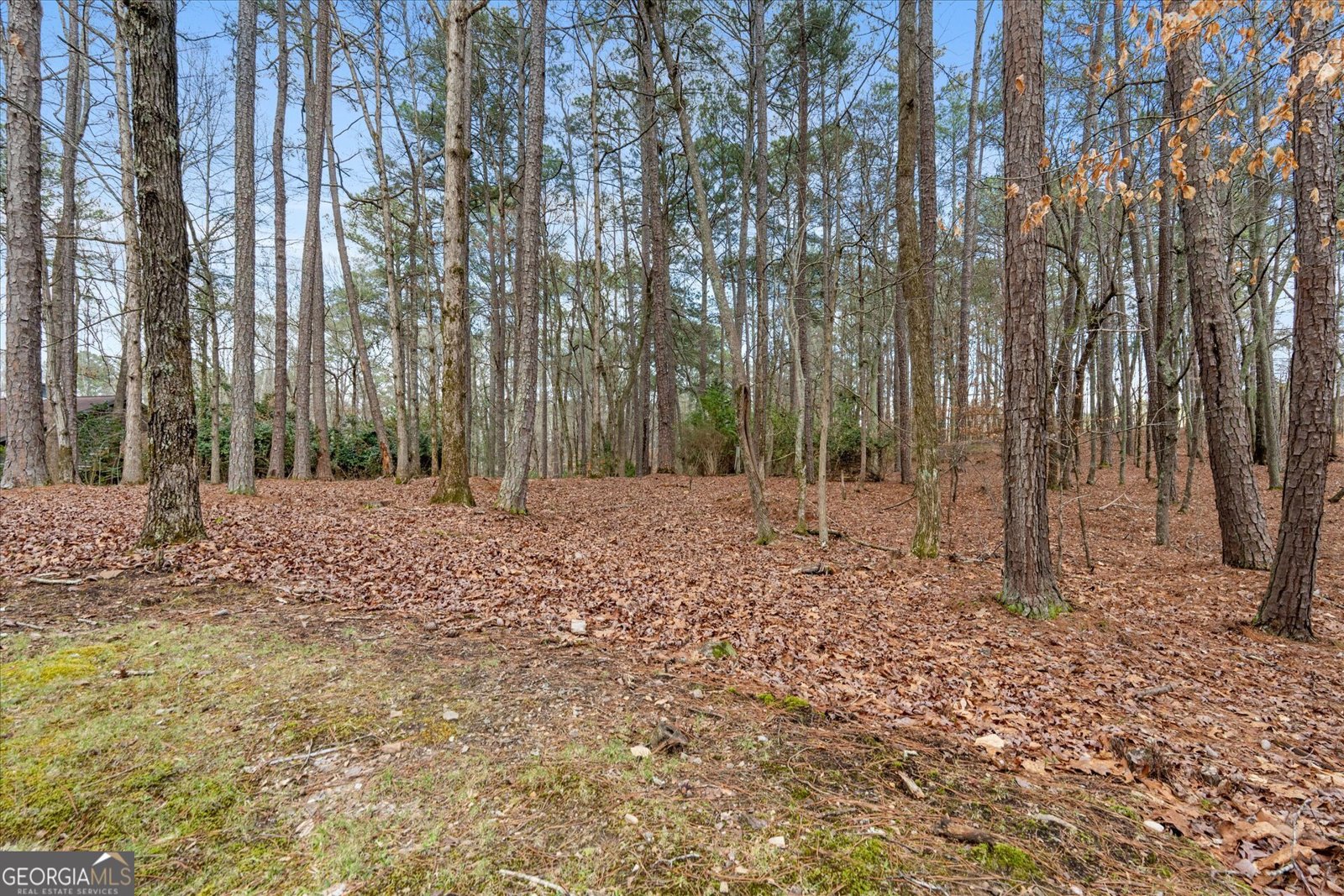 5079 Woodmont Drive Villa Rica - Photo 45