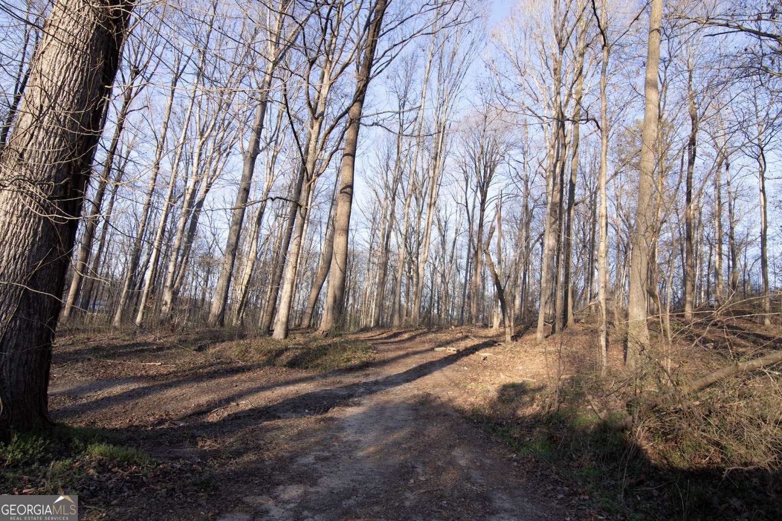 780 Bellamy Road Lula - Photo 13