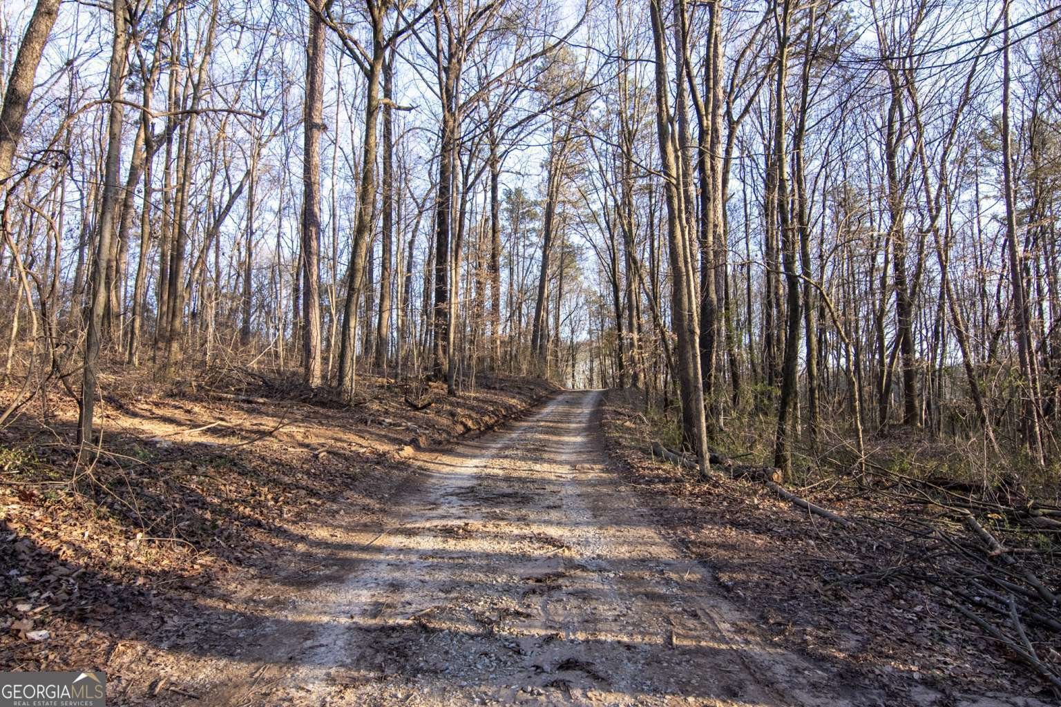 780 Bellamy Road Lula - Photo 6