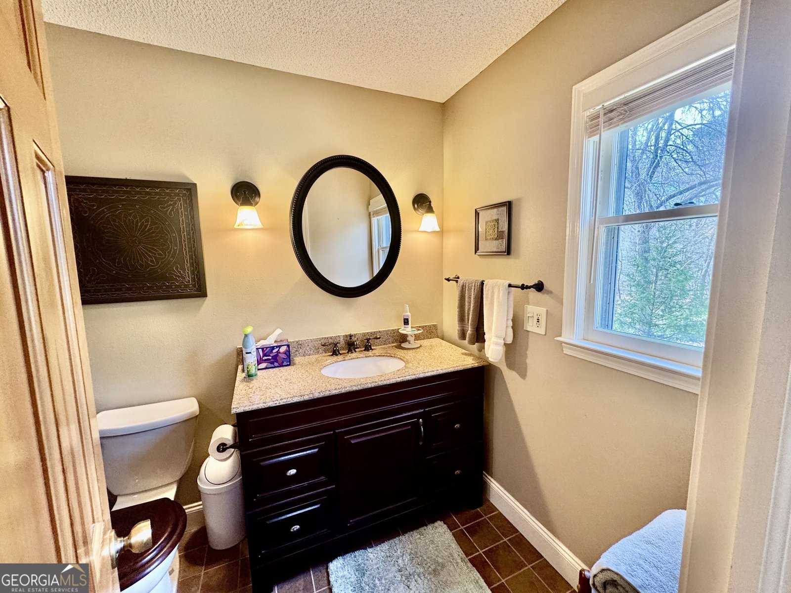 246 Harvey Lane Lavonia - Photo 12