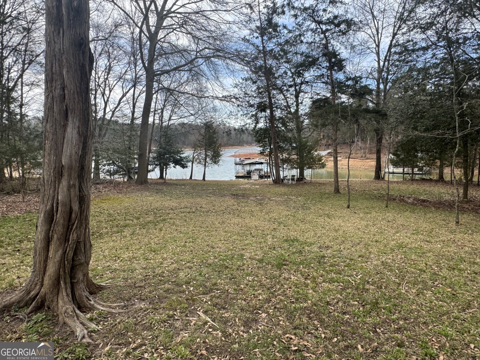 246 Harvey Lane Lavonia - Photo 6