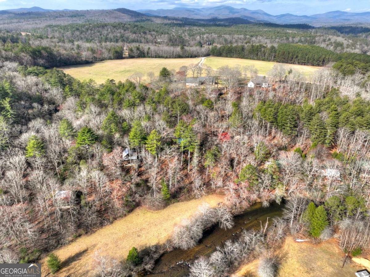 373 Wib Kendall Road Blue Ridge - Photo 39