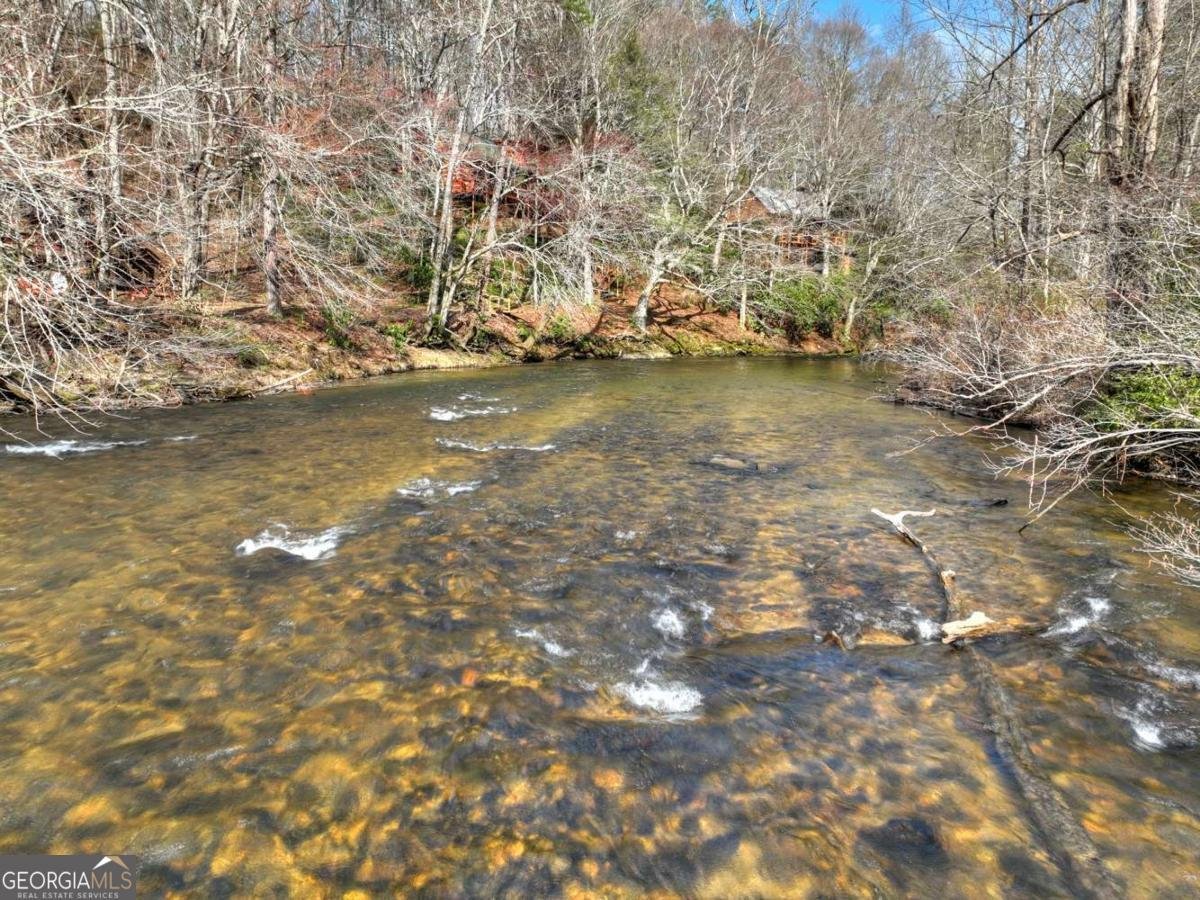 373 Wib Kendall Road Blue Ridge - Photo 44