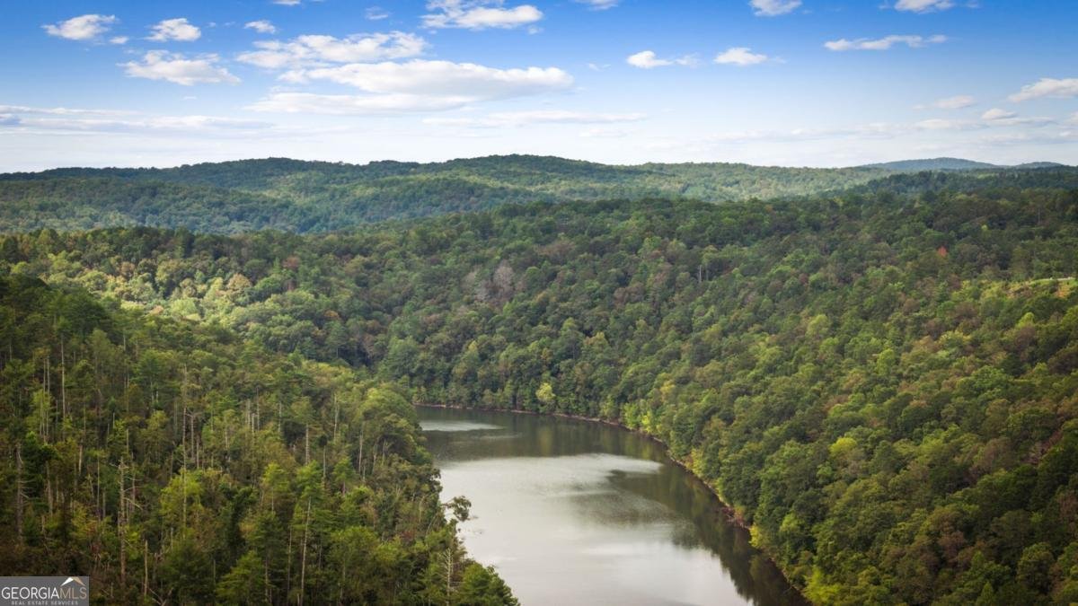 250 Noah Circle Ellijay - Photo 11