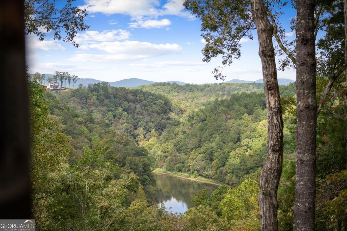 250 Noah Circle Ellijay - Photo 22