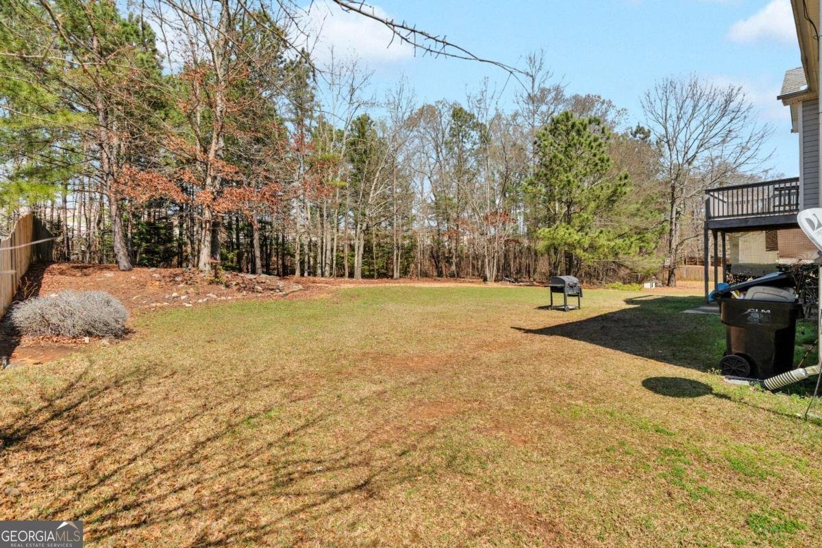 791 White Dove Drive Mcdonough - Photo 37