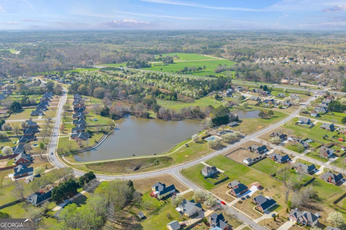 791 White Dove Drive Mcdonough - Photo 49